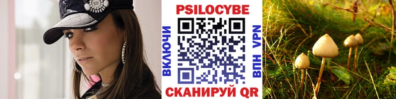 Псилоцибиновые грибы Psilocybe Крым